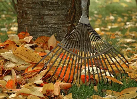 Rudens darbai sode – nukritusių lapų kompostavimas