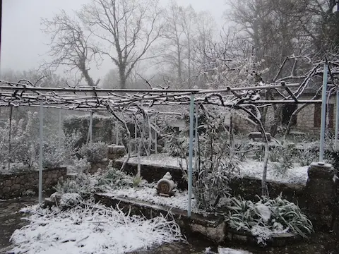Žiemos paruošiamieji darbai – šiltnamio tvarkymas ir ruošimas kitam sezonui