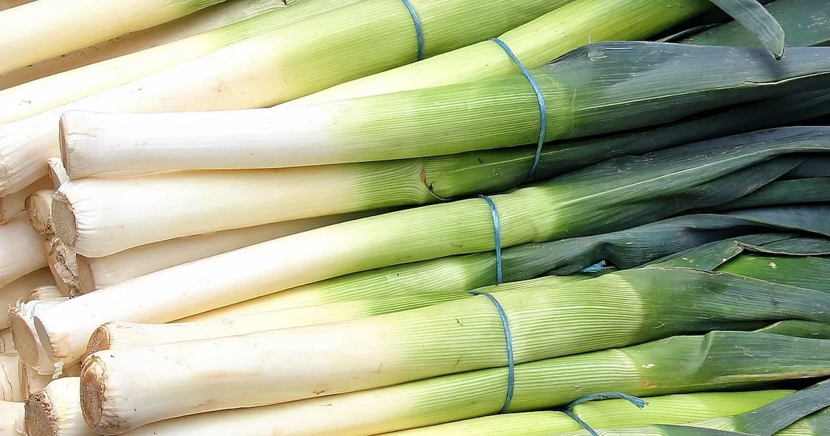 Porų auginimo darže patarimai - nuo sėjos iki derliaus